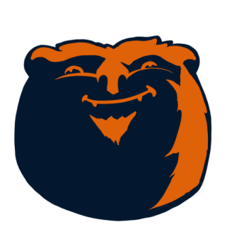 Chicago Bears Fat Logo fabric transfer